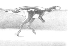 Illustration of dinosaur