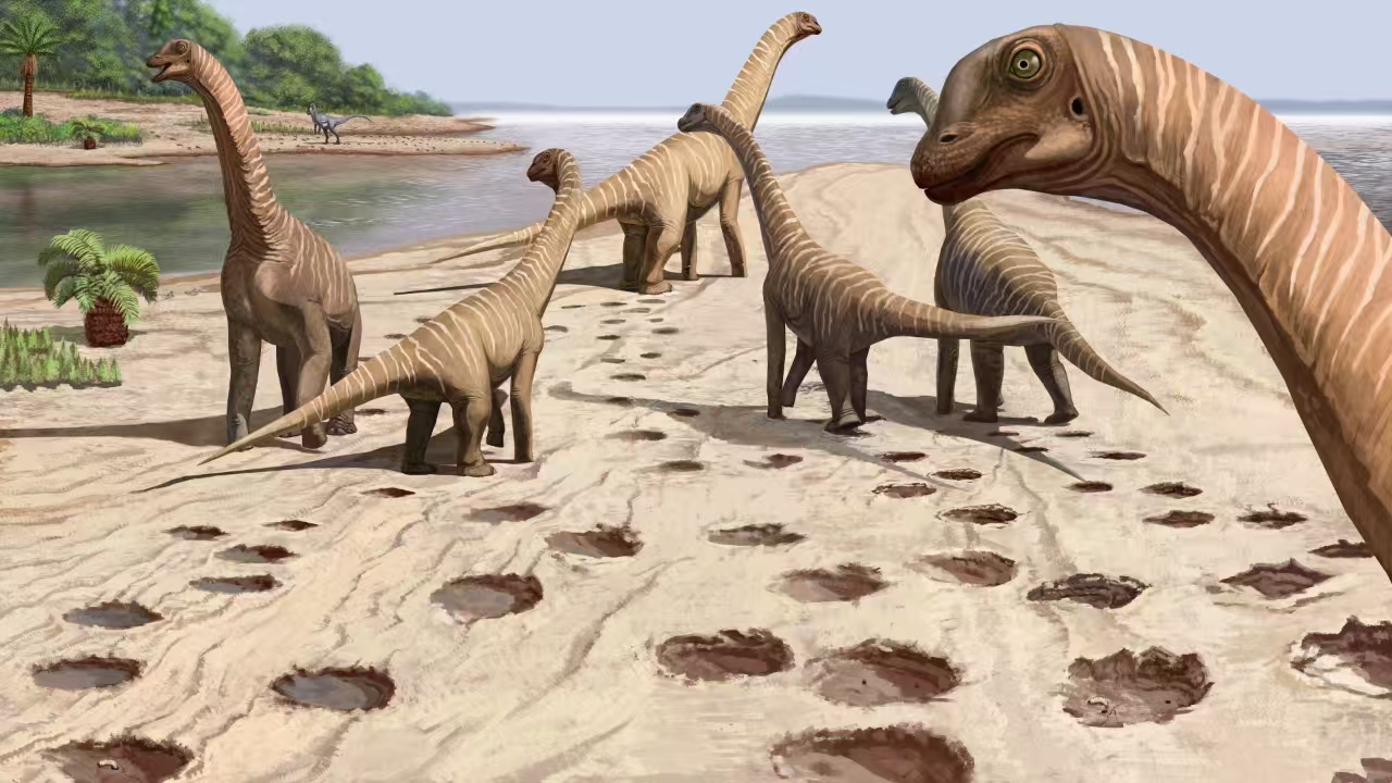 Dinosaurs