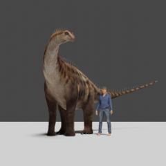 Sauropod