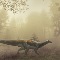 vego dino
