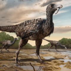 Raptor