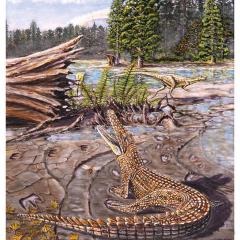 Isisfordia duncani, by Matt Herne