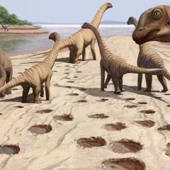 Dinosaurs